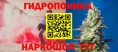 хмурый Краснознаменск
