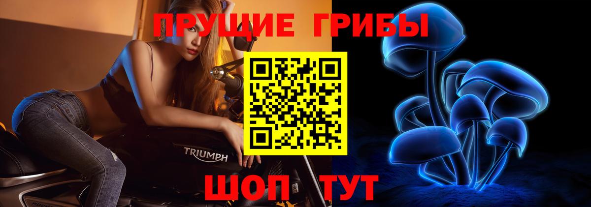 Галлюциногенные грибы Cubensis  Вход с VPN  Касимов 